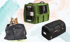 Top 05 Best Southwest Approved Pet Carriers that you can give as gifts to dog lovers