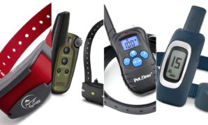 Top 10 Best Shock Collars that you can give as gifts to dog lovers