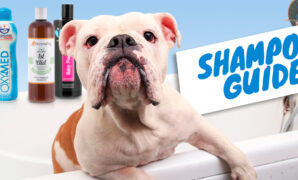 Best Whitening Shampoo For Dogs