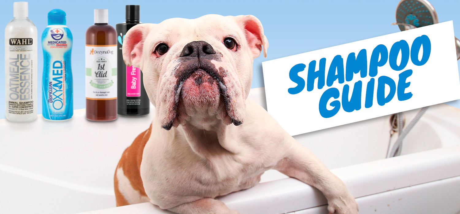 Best Whitening Shampoo For Dogs