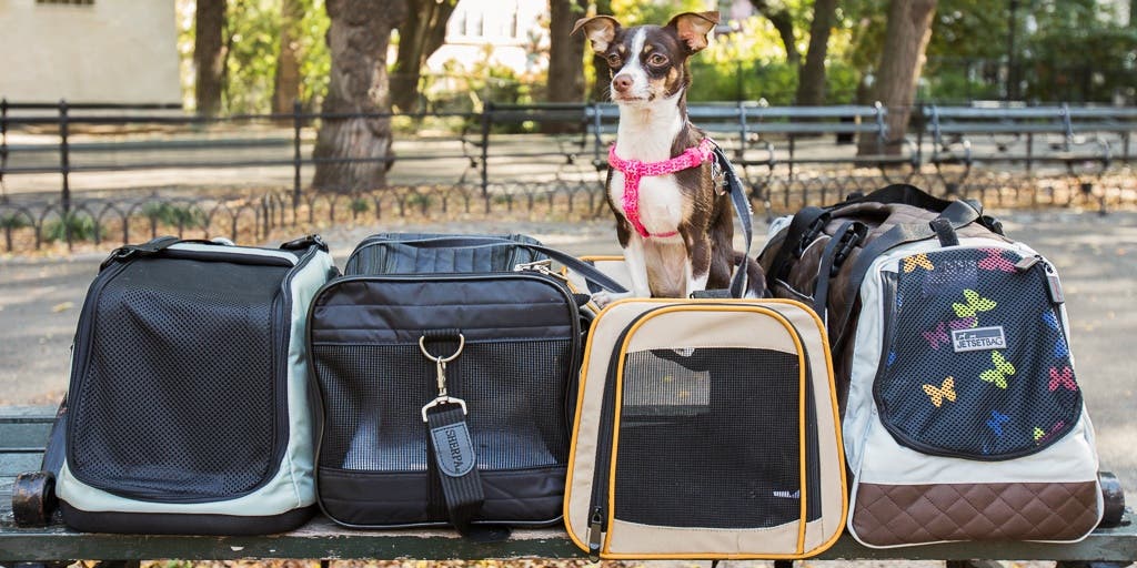 Tips for Choosing Best Southwest Approved Pet Carriers