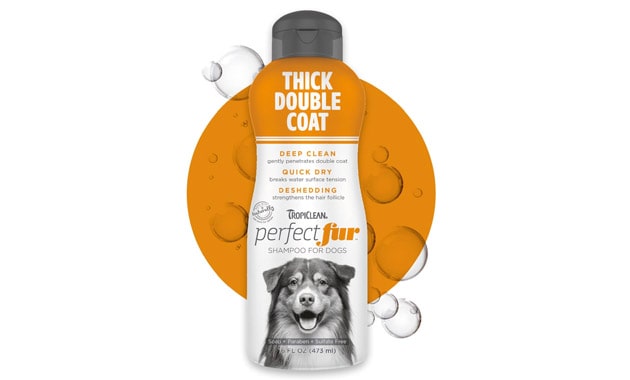 TropiClean Perfect Fur Dog Shampoo for Shedding Control & Deep Conditioning for Breeds with Thick Double Coats