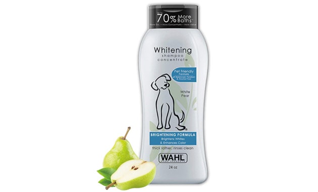 Wahl USA Whitening Shampoo White Pear scent for Pets – Whitening & Animal Odor Control with Silky Smooth Results for Grooming Dirty Dogs