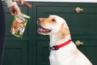Best Training Treats For Puppies