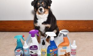 Top 05 Best No Pee Spray For Dogs that you can give as gifts to dog lovers