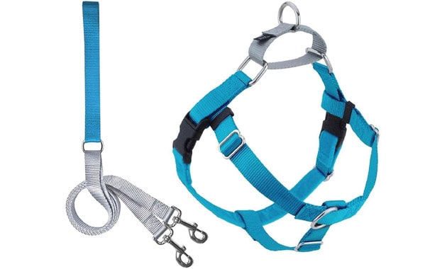 2 Hounds Design Freedom No Pull Dog Harness | Comfortable Control for Easy Walking |Adjustable Dog Harness and Leash Set | Small, Medium & Large Dogs | Made in USA | Solid Colors | 5/8" MD Turquoise