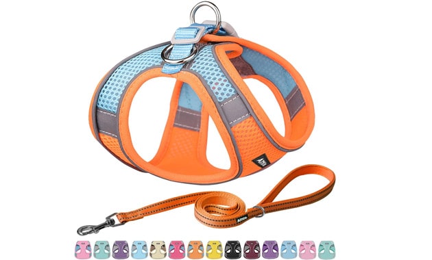 AIITLE Step in Dog Harness and Leash Set - No Pull Escape Proof Vest Harnesses with Soft Mesh and Reflective Bands, Adjustable Pet Outdoor Harnesses for Small and Medium Dogs Orange M