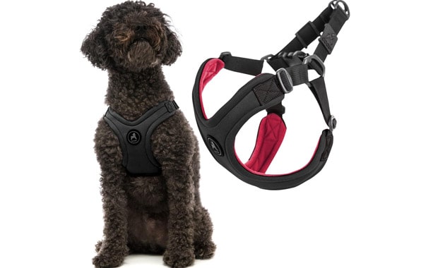 Gooby Escape Free Sport Harness - Black, Large - No Choke Step-in Patented Neoprene Small Dog Harness with Four-Point Adjustment - Perfect on The Go Dog Harness for Medium Dogs No Pull and Small Dogs