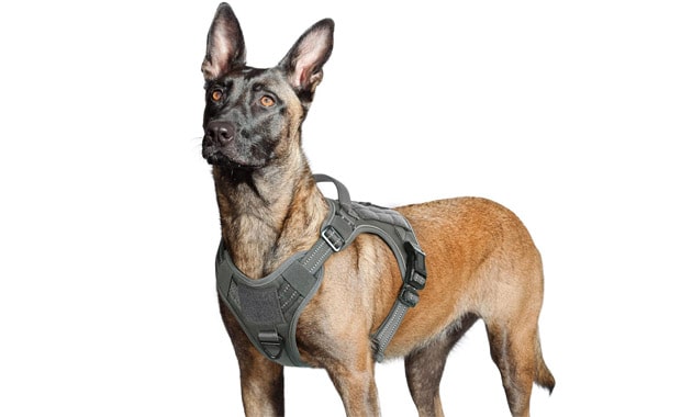 rabbitgoo Dog Harness No Pull, Military Dog Harness for Large Dogs with Handle & Molle, Easy Control Service Dog Vest Harness Training Walking, Adjustable Reflective Tactical Pet Harness, Dark Grey, L