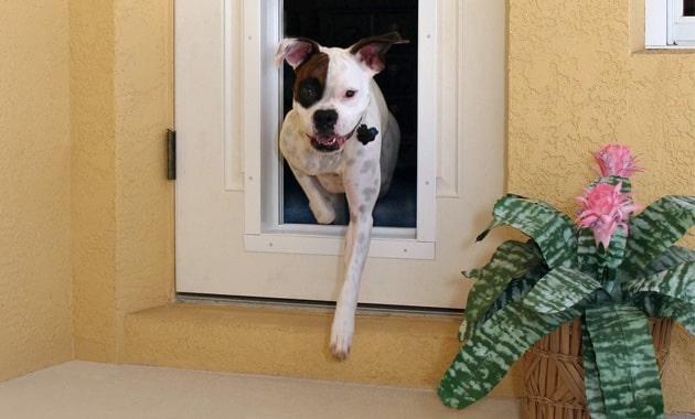 Plexidor Performance Electronic Dog Door - Wall Mount Dog Door - Energy Efficient Dog Door