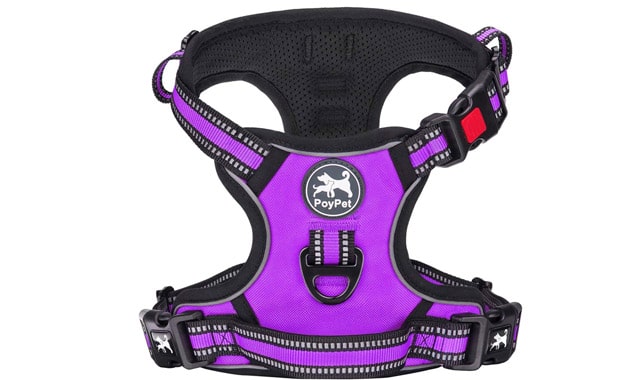 PoyPet No Pull Dog Harness, [Release on Neck] Reflective Adjustable No Choke Pet Vest with Front & Back 2 Leash Attachments, Soft Control Training Handle for Small Medium Large Dogs(Purple,S)