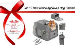 Top 10 Best Airline Approved Dog Carriers that you can give as gifts to traveling dog owners