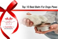 Top 10 Best Balm For Dogs Paws