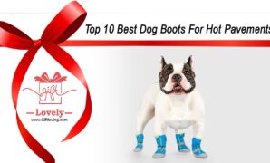 Top 10 Best Dog Boots For Hot Pavements