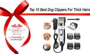 Top 10 Best Dog Clippers For Thick Hairs
