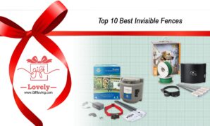 Top 10 Best Invisible Fences