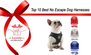 Top 10 Best No Escape Dog Harnesses that you can give as gifts to dog lovers