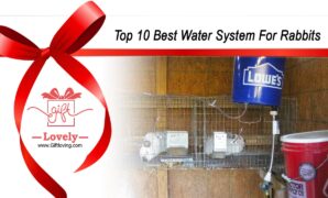 Top 10 Best Water System For Rabbits